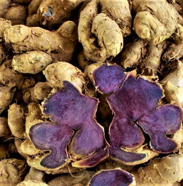 Black Ginger