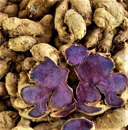 Black Ginger