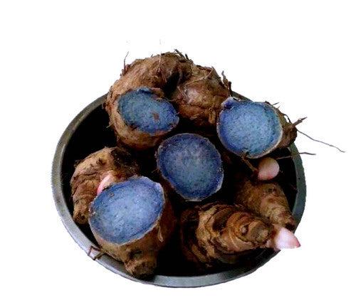 Black Turmeric
