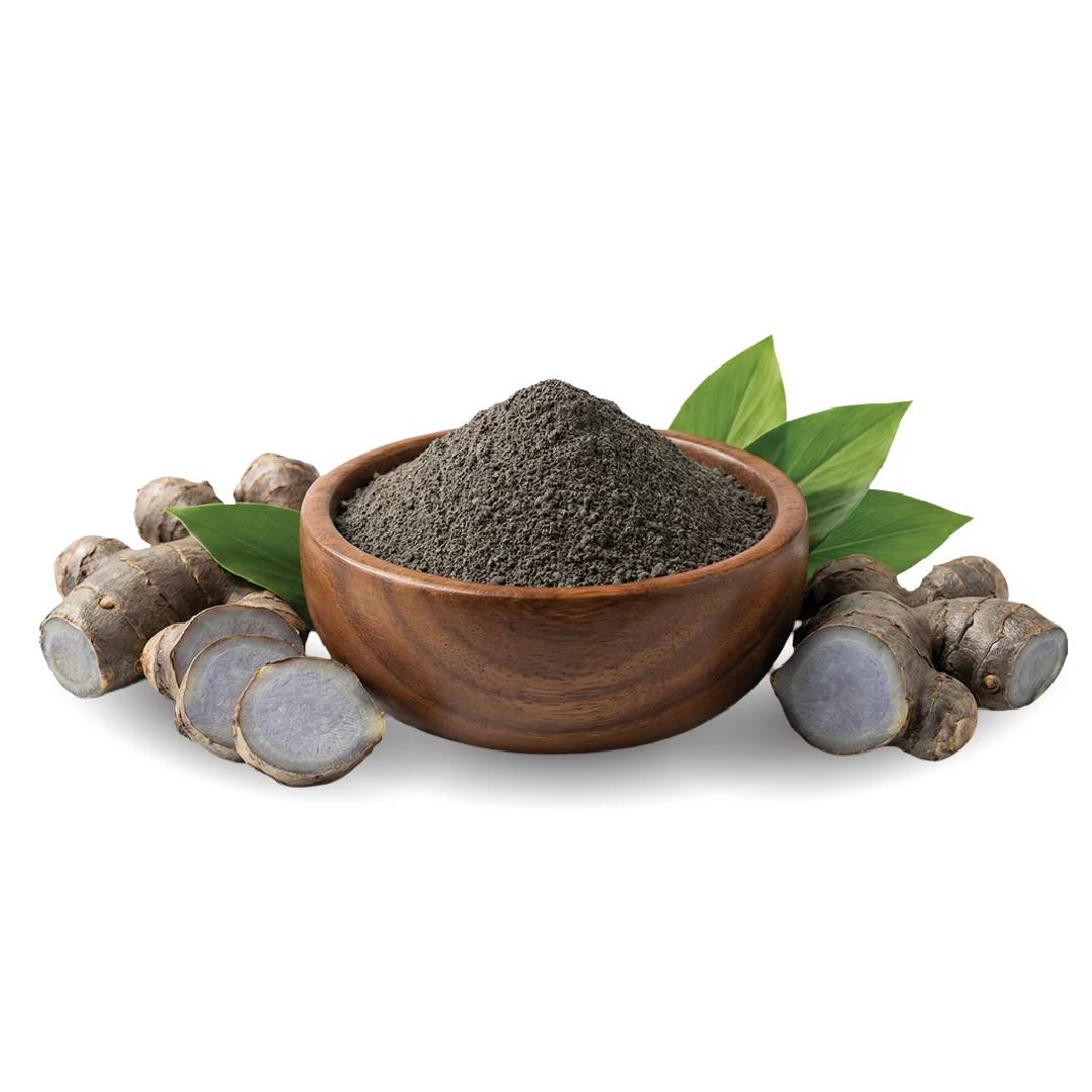 Black Ginger Powder - Kaempferia parviflora